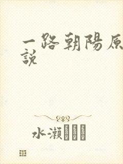 一路朝阳原著小说