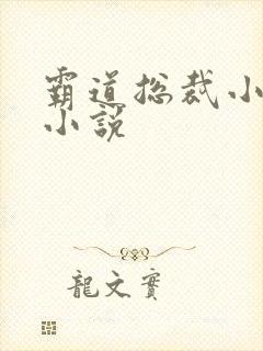 霸道总裁小娇妻小说