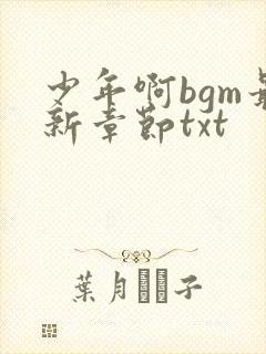 少年啊bgm最新章节txt