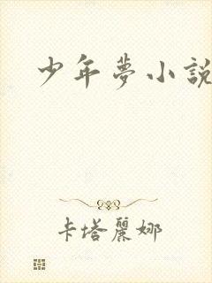 少年梦小说