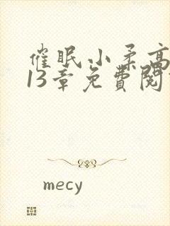 催眠小柔高达第13章免费阅读