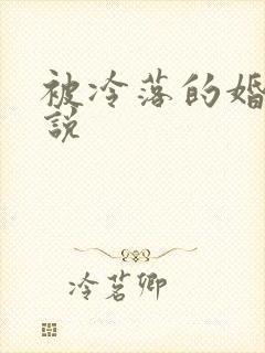被冷落的婚姻小说