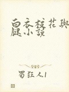 白衣校花与大长腿小说