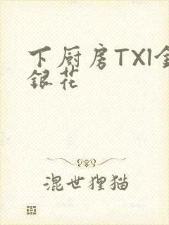 下厨房TXl金银花