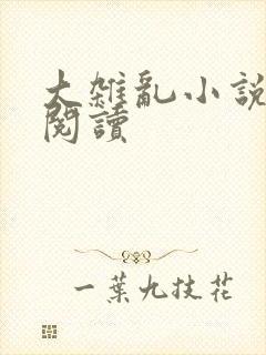 大杂乱小说目录阅读