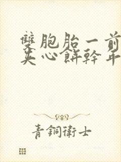 双胞胎一前一后夹心饼干年下