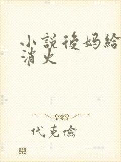 小说后妈给我消消火