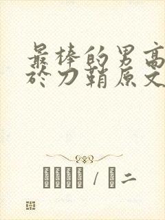 最棒的男高中生于刀鞘原文阅读