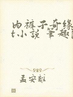 内裤子奇缘txt小说 笔趣阁