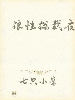 狼性总裁夜欢宠