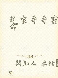 我家哥哥宠妹如命