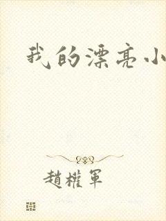 我的漂亮小后妈