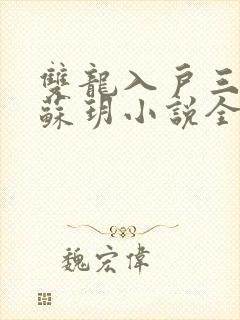 双龙入户三人行苏玥小说全文阅读