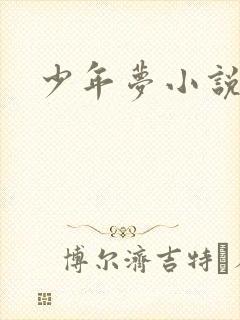 少年梦小说