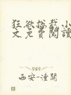 狂欲总裁小说全文免费阅读