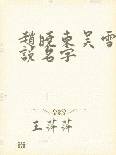 赵晓东吴雪晴小说名字