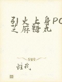 引火上身POP芝麻糖丸