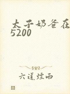 太子奶爸在花都5200