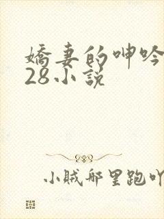 娇妻的呻吟1—28小说