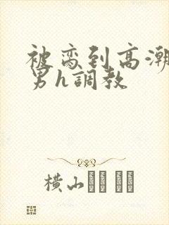 被脔到高潮的直男h调教