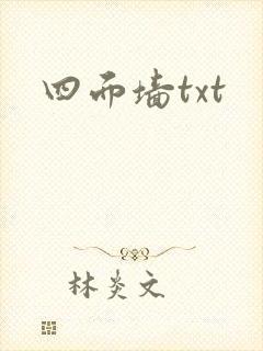 四面墙txt