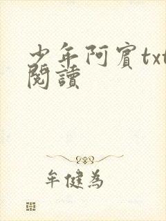 少年阿宾txt阅读