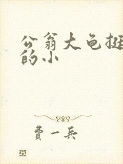 公翁大龟挺进我的小