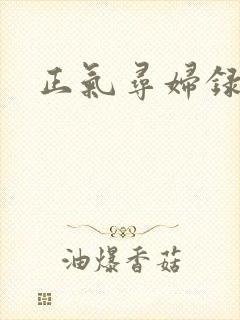 正气寻妇录