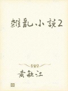 杂乱小说2