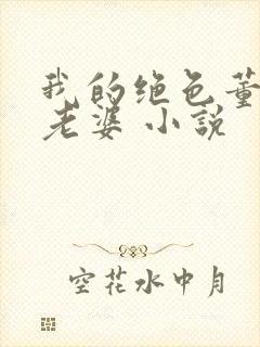 我的绝色董事长老婆 小说