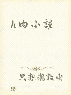 h肉小说