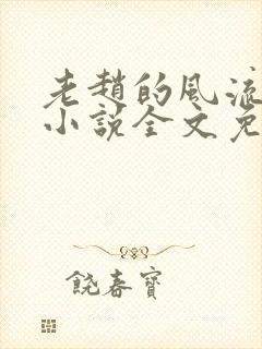 老赵的风流人生小说全文免费阅读