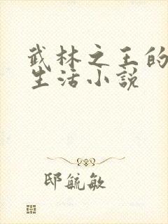 武林之王的退隐生活小说