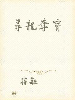 寻龙夺宝