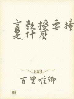 言教授要撞坏了是什么