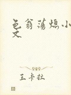 色翁荡熄小说全文