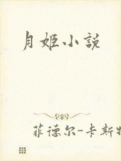 月姬小说