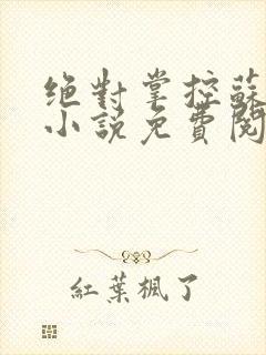 绝对掌控苏绵绵小说免费阅读全文