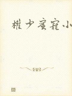 权少蜜宠小娇妻