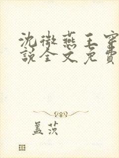 沈微燕王穿越小说全文免费阅读