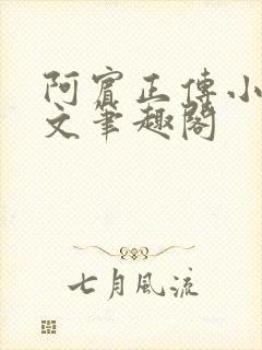 阿宾正传小说全文笔趣阁