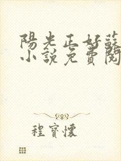 阳光正好苏玥玥小说免费阅读