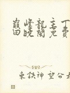 巅峰龙主丁长顺田晓兰免费阅读