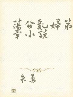 荡公乱妇第51章小说