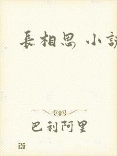 长相思 小说