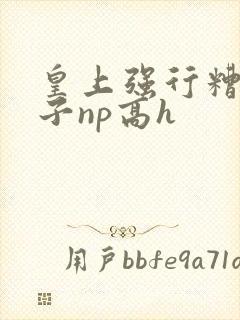 皇上强行糟蹋太子np高h