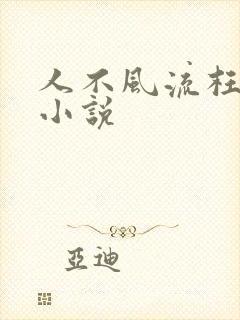 人不风流枉少年小说