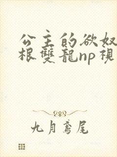 公主的欲奴h四根双龙np视频