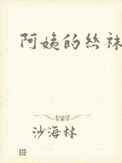 阿姨的丝袜小说