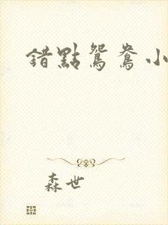 错点鸳鸯小说